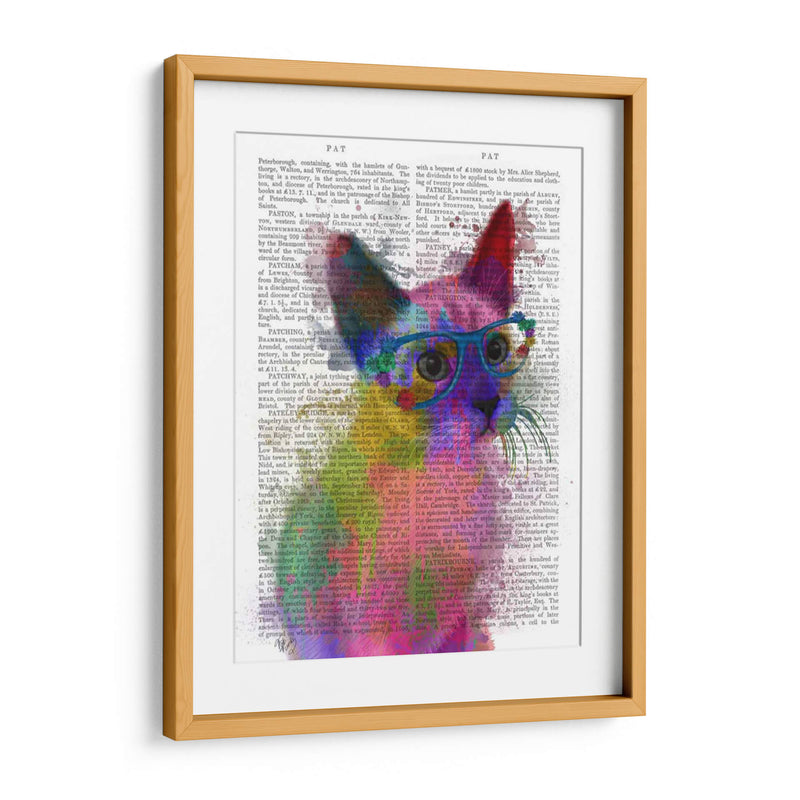 Rainbow Splash Cat 2 - Fab Funky | Cuadro decorativo de Canvas Lab