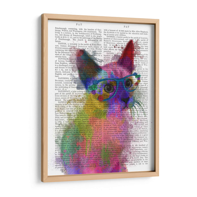 Rainbow Splash Cat 2 - Fab Funky | Cuadro decorativo de Canvas Lab