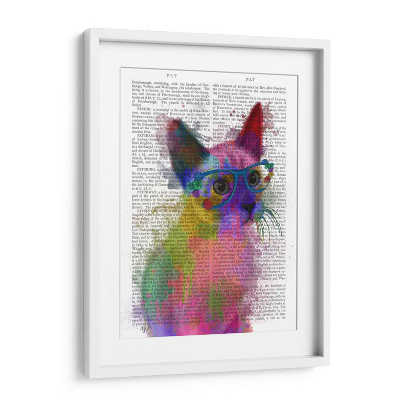 Rainbow Splash Cat 2 - Fab Funky | Cuadro decorativo de Canvas Lab