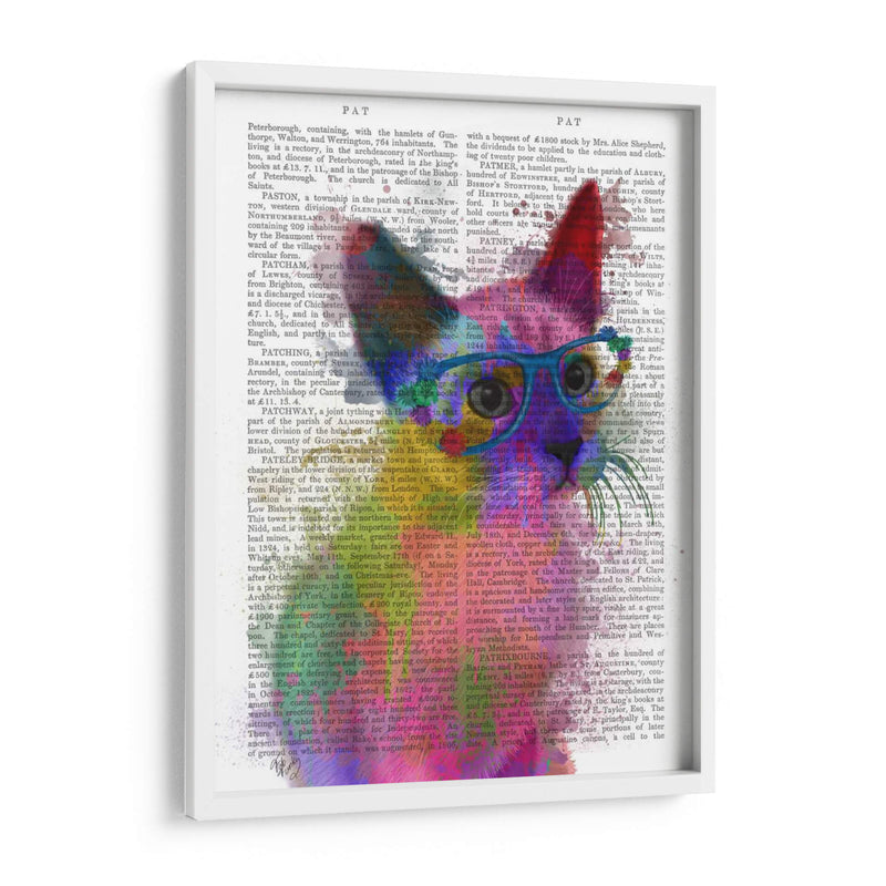 Rainbow Splash Cat 2 - Fab Funky | Cuadro decorativo de Canvas Lab