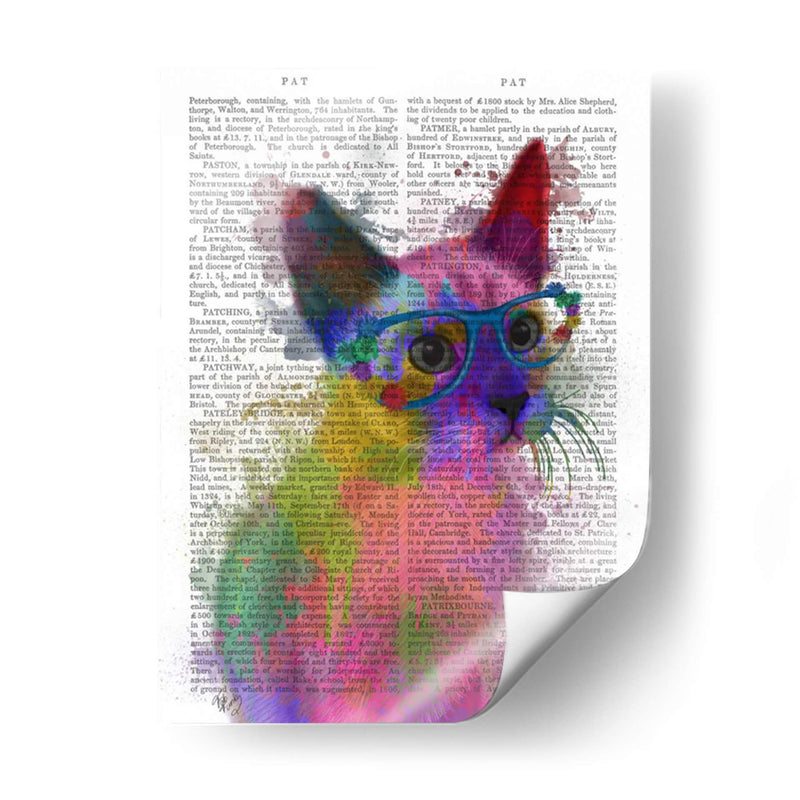 Rainbow Splash Cat 2 - Fab Funky | Cuadro decorativo de Canvas Lab