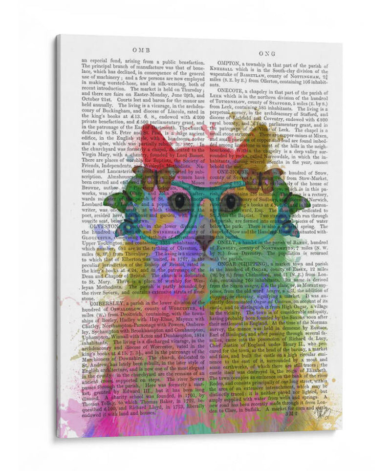 Rainbow Splash Cat 3, Retrato - Fab Funky | Cuadro decorativo de Canvas Lab