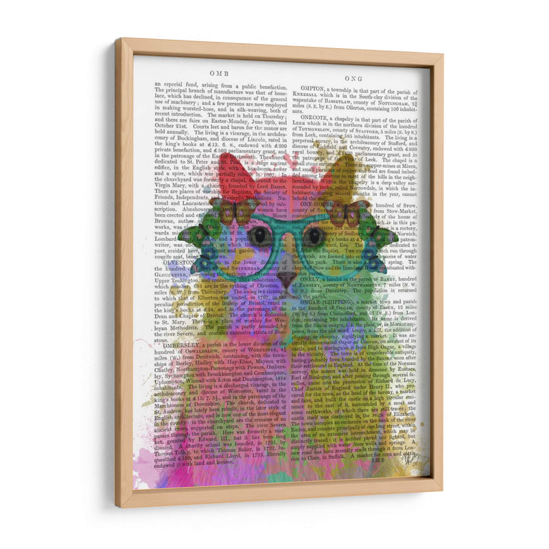 Rainbow Splash Cat 3, Retrato - Fab Funky | Cuadro decorativo de Canvas Lab