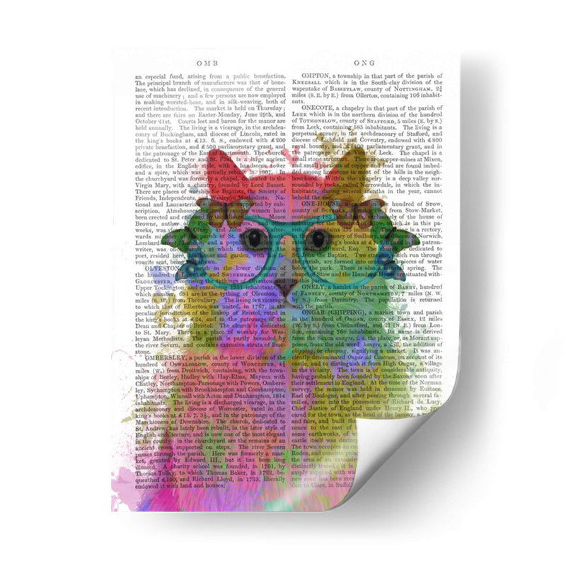 Rainbow Splash Cat 3, Retrato - Fab Funky | Cuadro decorativo de Canvas Lab