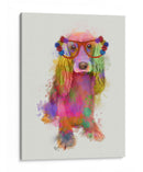 Arco Iris Splash Cocker Spaniel, Completo - Fab Funky | Cuadro decorativo de Canvas Lab