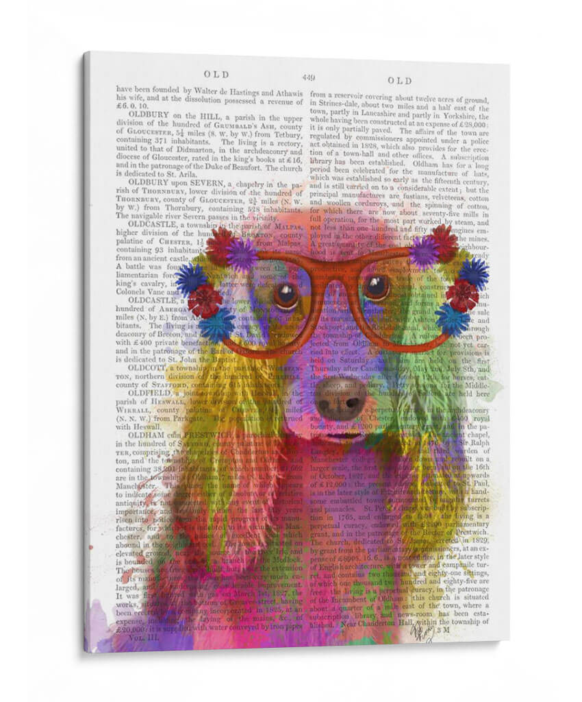 Arco Iris Splash Cocker Spaniel, Retrato - Fab Funky | Cuadro decorativo de Canvas Lab