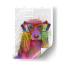Arco Iris Splash Cocker Spaniel, Retrato - Fab Funky | Cuadro decorativo de Canvas Lab
