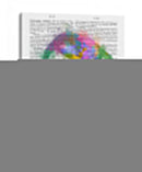 Rainbow Splash Flamingo 3 - Fab Funky | Cuadro decorativo de Canvas Lab