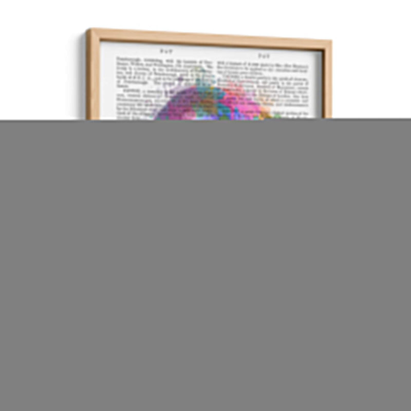 Rainbow Splash Flamingo 3 - Fab Funky | Cuadro decorativo de Canvas Lab