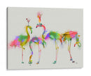 Partido De Cóctel De Salpicaduras De Arco Iris - Fab Funky | Cuadro decorativo de Canvas Lab