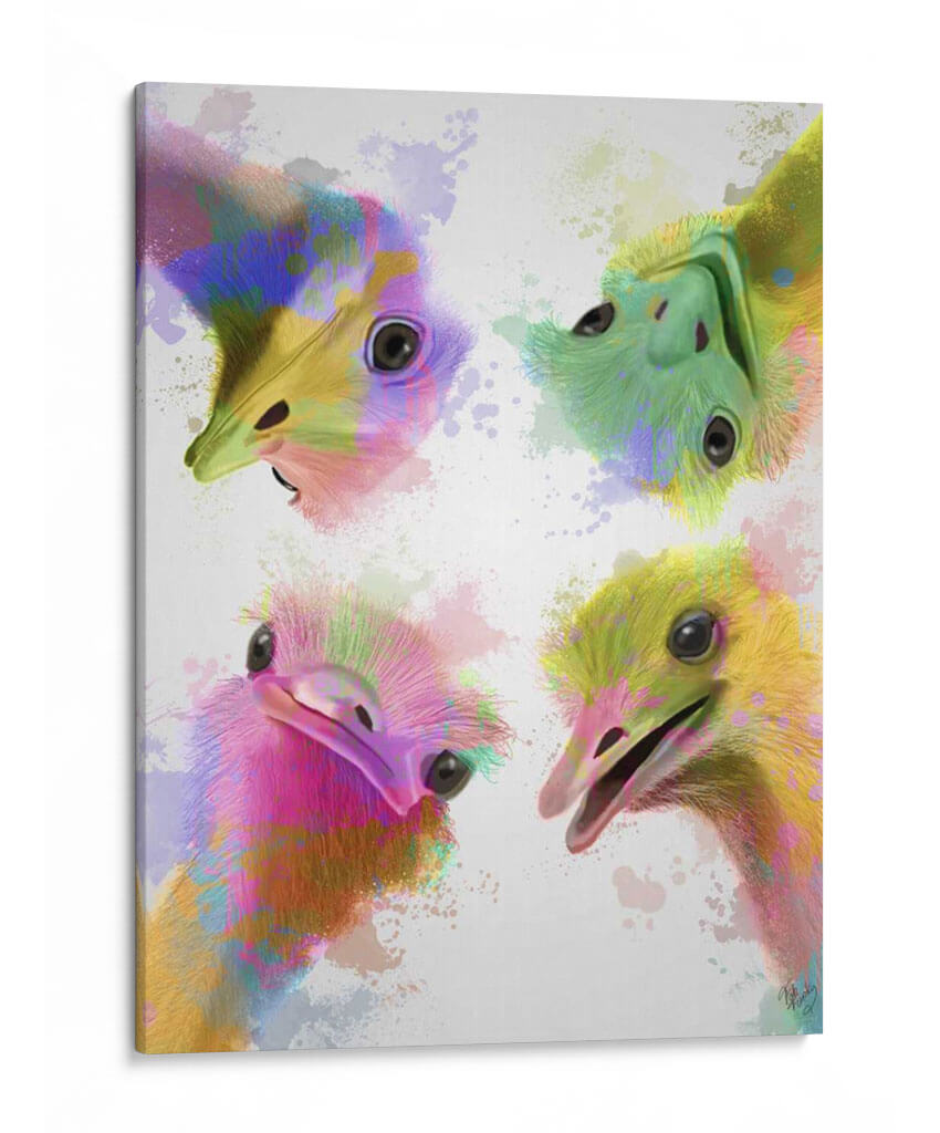 Splash Arco Iris Cuatro Avestruces - Fab Funky | Cuadro decorativo de Canvas Lab
