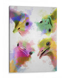 Splash Arco Iris Cuatro Avestruces - Fab Funky | Cuadro decorativo de Canvas Lab