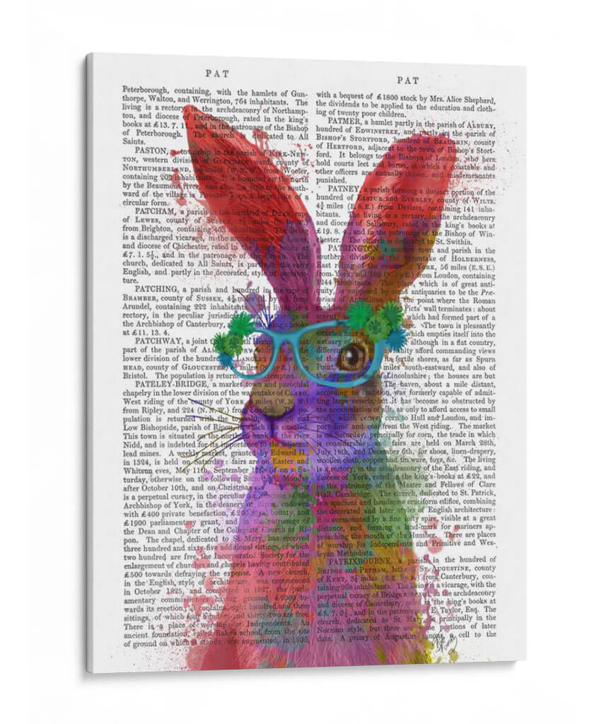 Rainbow Splash Rabbit 2, Retrato - Fab Funky | Cuadro decorativo de Canvas Lab
