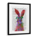 Rainbow Splash Rabbit 2, Retrato - Fab Funky | Cuadro decorativo de Canvas Lab
