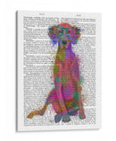 Rainbow Splash Weimaraner, Completo - Fab Funky | Cuadro decorativo de Canvas Lab