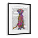 Rainbow Splash Weimaraner, Completo - Fab Funky | Cuadro decorativo de Canvas Lab