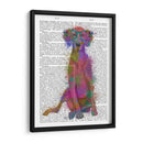 Rainbow Splash Weimaraner, Completo - Fab Funky | Cuadro decorativo de Canvas Lab