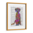 Rainbow Splash Weimaraner, Completo - Fab Funky | Cuadro decorativo de Canvas Lab