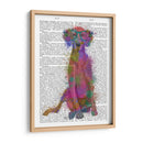 Rainbow Splash Weimaraner, Completo - Fab Funky | Cuadro decorativo de Canvas Lab