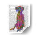 Rainbow Splash Weimaraner, Completo - Fab Funky | Cuadro decorativo de Canvas Lab