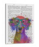 Rainbow Splash Weimaraner, Retrato - Fab Funky | Cuadro decorativo de Canvas Lab