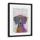 Rainbow Splash Weimaraner, Retrato - Fab Funky | Cuadro decorativo de Canvas Lab