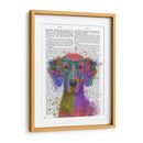 Rainbow Splash Weimaraner, Retrato - Fab Funky | Cuadro decorativo de Canvas Lab