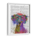Rainbow Splash Weimaraner, Retrato - Fab Funky | Cuadro decorativo de Canvas Lab