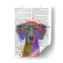 Rainbow Splash Weimaraner, Retrato - Fab Funky | Cuadro decorativo de Canvas Lab