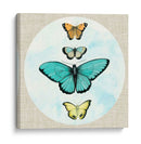 Mariposa Soñardream I - Naomi McCavitt | Cuadro decorativo de Canvas Lab
