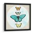 Mariposa Soñardream I - Naomi McCavitt | Cuadro decorativo de Canvas Lab
