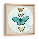 Mariposa Soñardream I - Naomi McCavitt | Cuadro decorativo de Canvas Lab