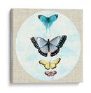 Butterfly Daydream Ii - Naomi McCavitt | Cuadro decorativo de Canvas Lab