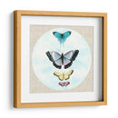 Butterfly Daydream Ii - Naomi McCavitt | Cuadro decorativo de Canvas Lab
