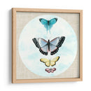 Butterfly Daydream Ii - Naomi McCavitt | Cuadro decorativo de Canvas Lab
