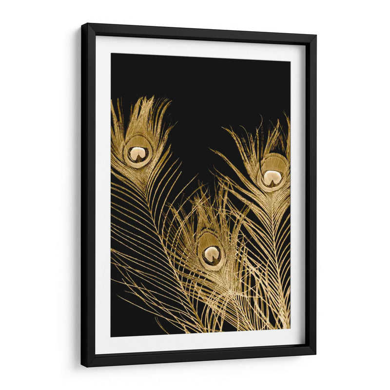 Plumas Dor - Jason Johnson | Cuadro decorativo de Canvas Lab