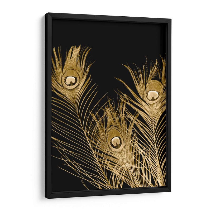 Plumas Dor - Jason Johnson | Cuadro decorativo de Canvas Lab