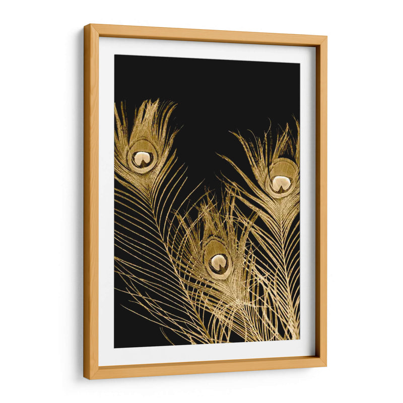 Plumas Dor - Jason Johnson | Cuadro decorativo de Canvas Lab