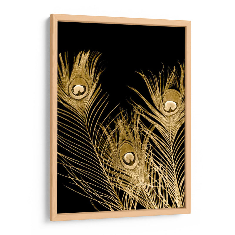 Plumas Dor - Jason Johnson | Cuadro decorativo de Canvas Lab