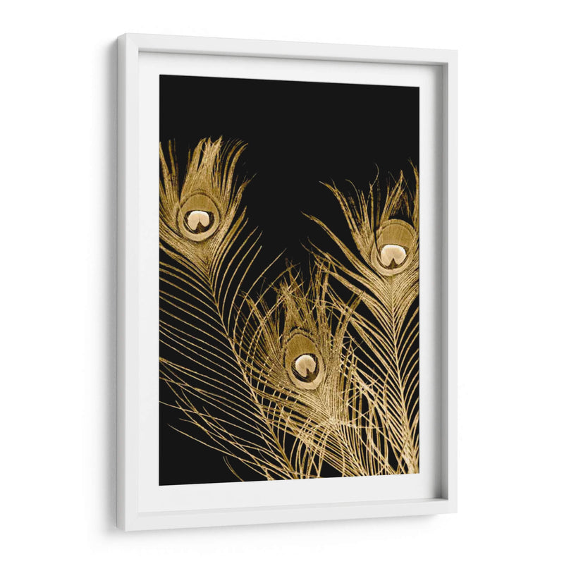 Plumas Dor - Jason Johnson | Cuadro decorativo de Canvas Lab