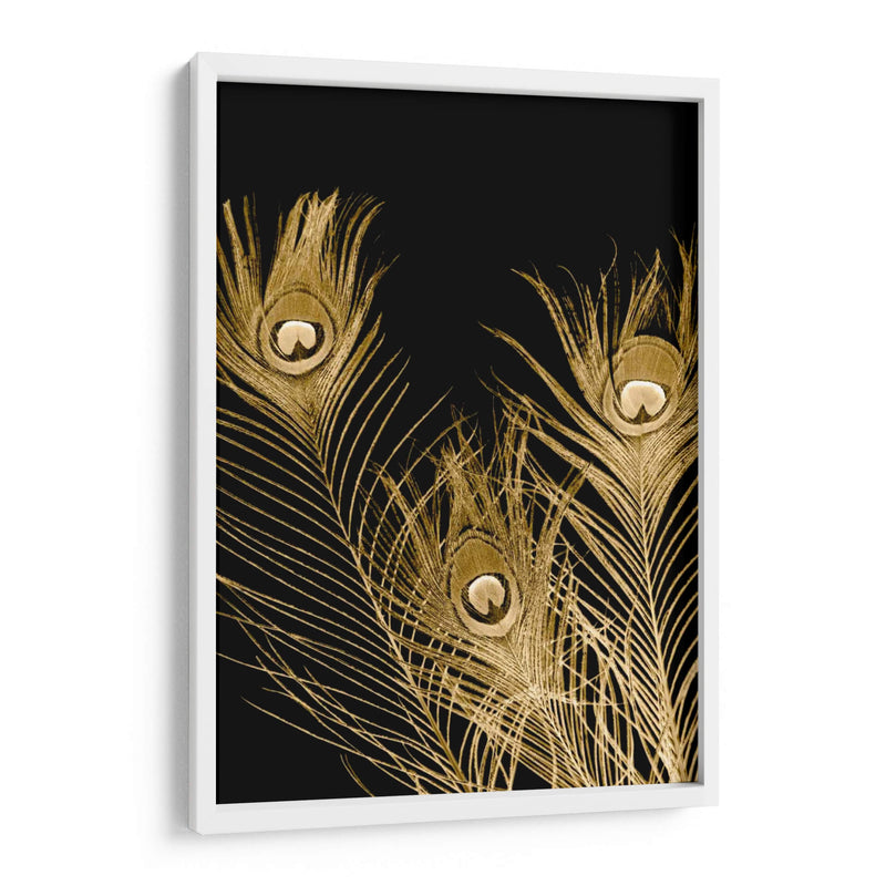 Plumas Dor - Jason Johnson | Cuadro decorativo de Canvas Lab