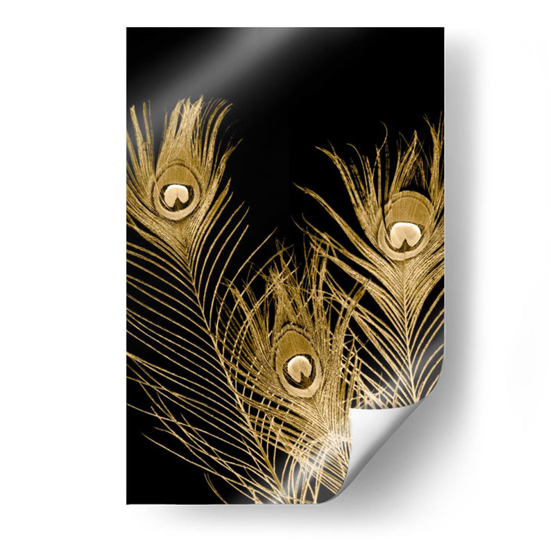 Plumas Dor - Jason Johnson | Cuadro decorativo de Canvas Lab