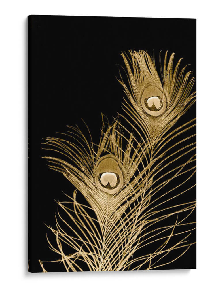 Plumes Dor Ii - Jason Johnson | Cuadro decorativo de Canvas Lab