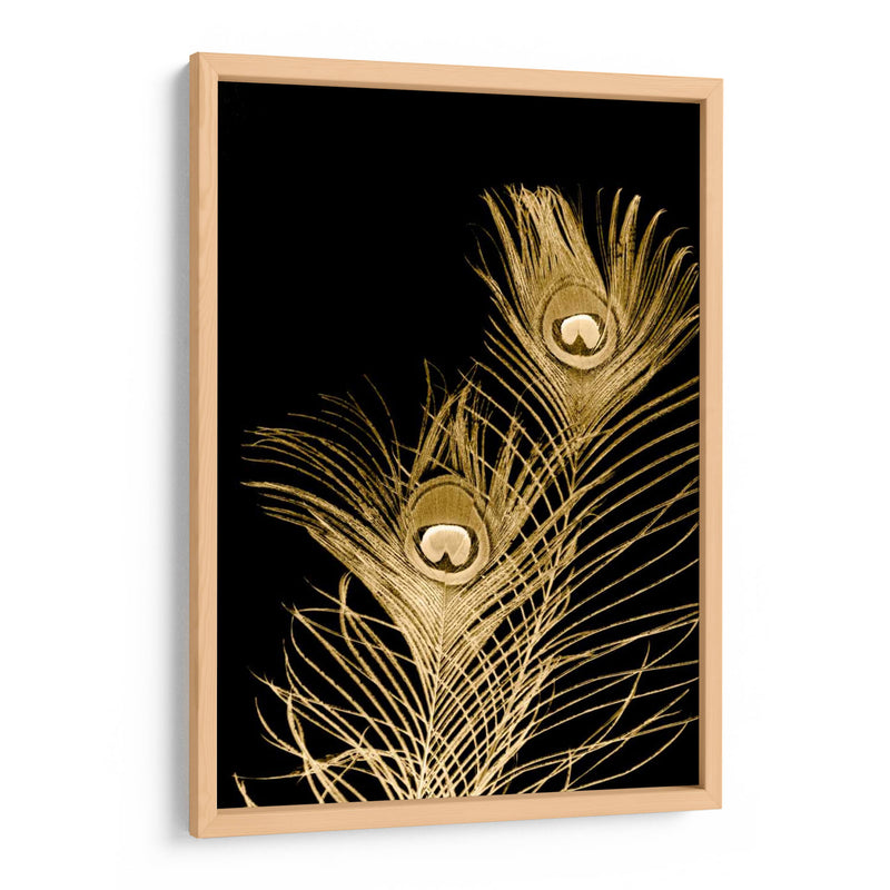 Plumes Dor Ii - Jason Johnson | Cuadro decorativo de Canvas Lab