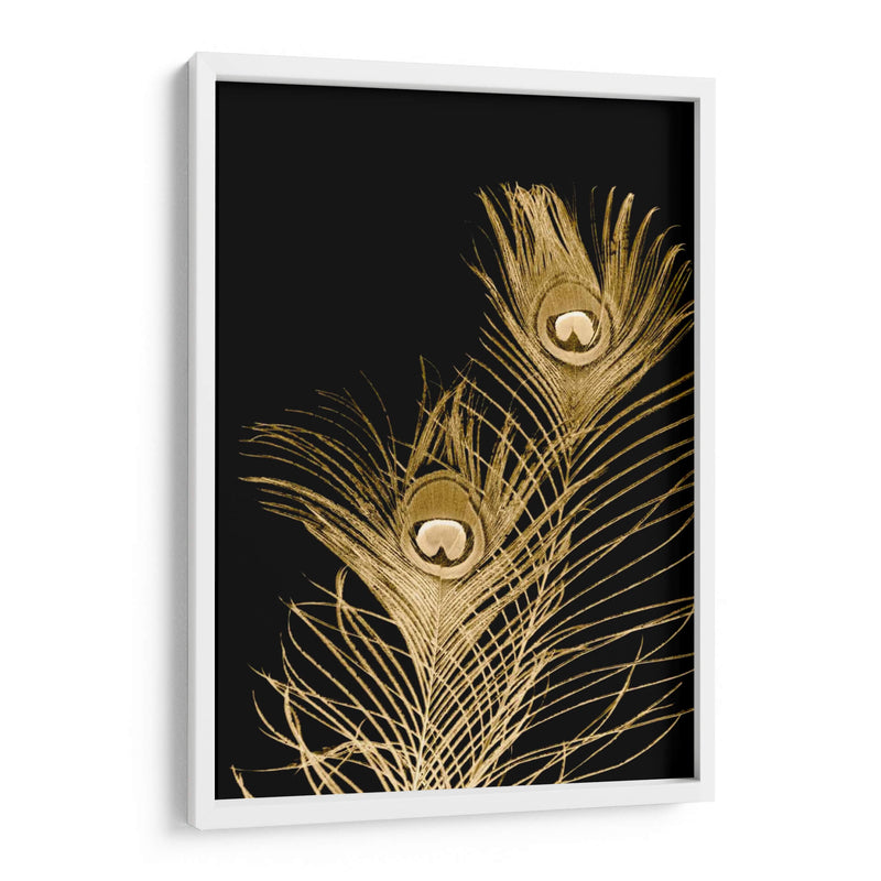 Plumes Dor Ii - Jason Johnson | Cuadro decorativo de Canvas Lab