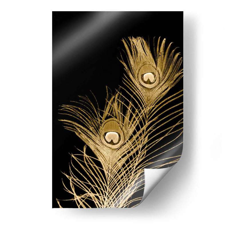 Plumes Dor Ii - Jason Johnson | Cuadro decorativo de Canvas Lab