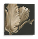 Floraciones Clásicas I - Ethan Harper | Cuadro decorativo de Canvas Lab