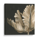 Floraciones Clásicas Ii - Ethan Harper | Cuadro decorativo de Canvas Lab