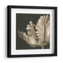 Floraciones Clásicas Ii - Ethan Harper | Cuadro decorativo de Canvas Lab