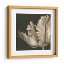 Floraciones Clásicas Ii - Ethan Harper | Cuadro decorativo de Canvas Lab